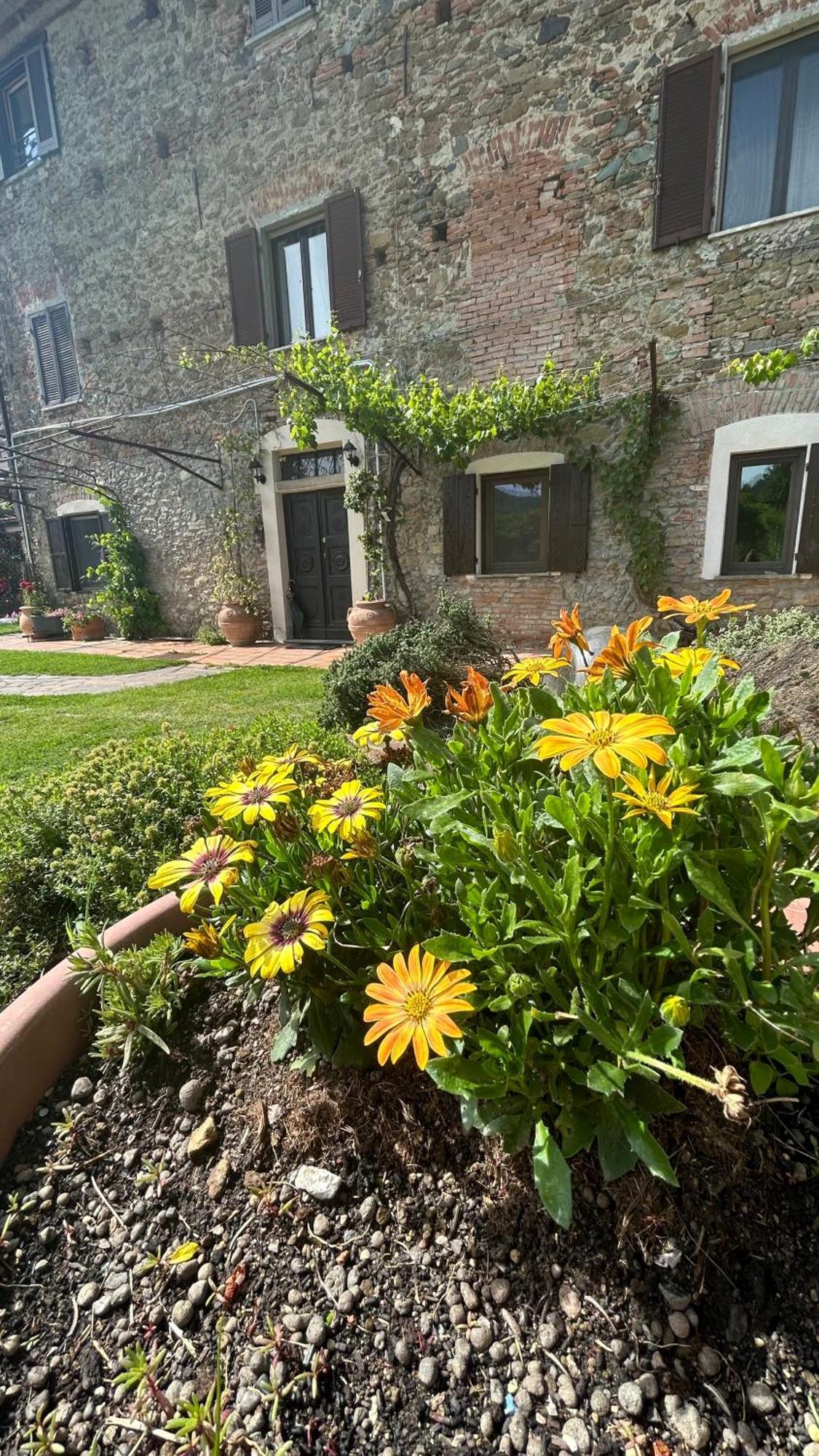 Cascina Ciosse B&B Grognardo Exterior photo
